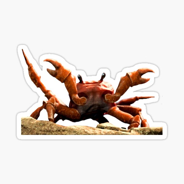 Noisestorm crab rave monstercat release