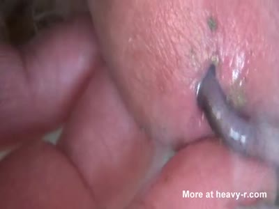 Mustang reccomend man insert worm in penis