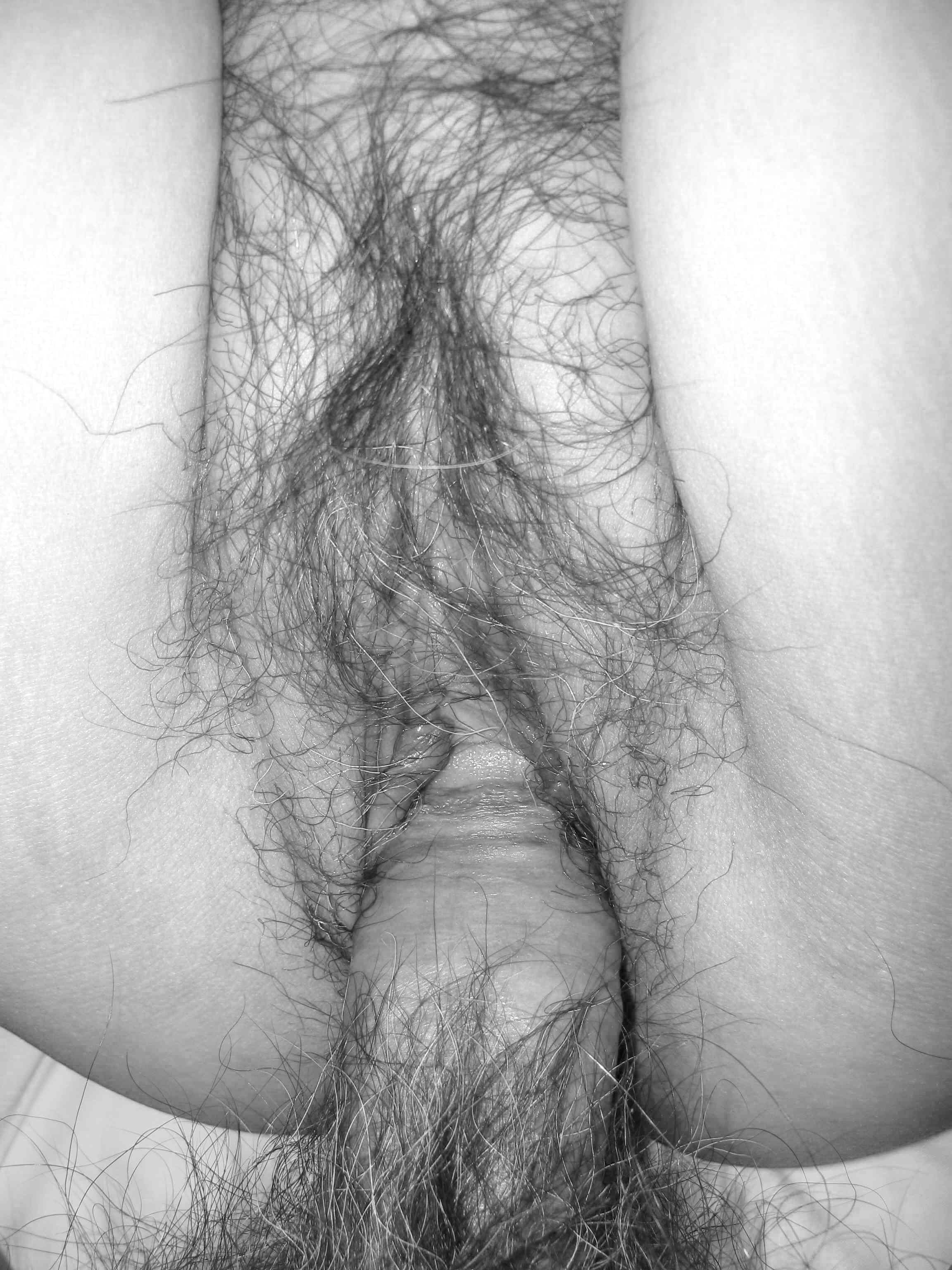 Renegade recomended closeup fuck hairy