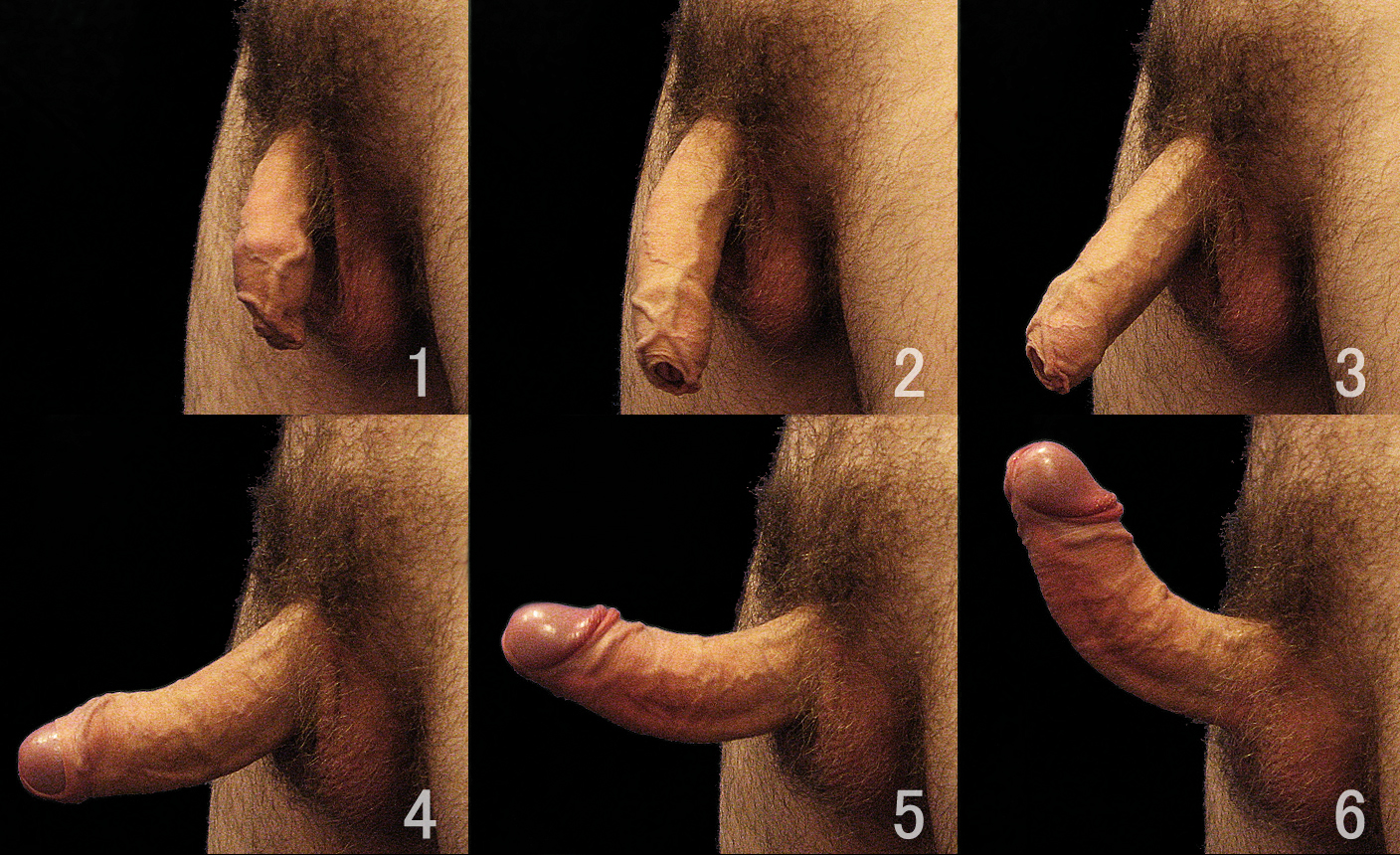 Crusher reccomend hour hold partial erection piss