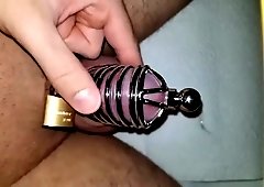 Micro cock cage with iron