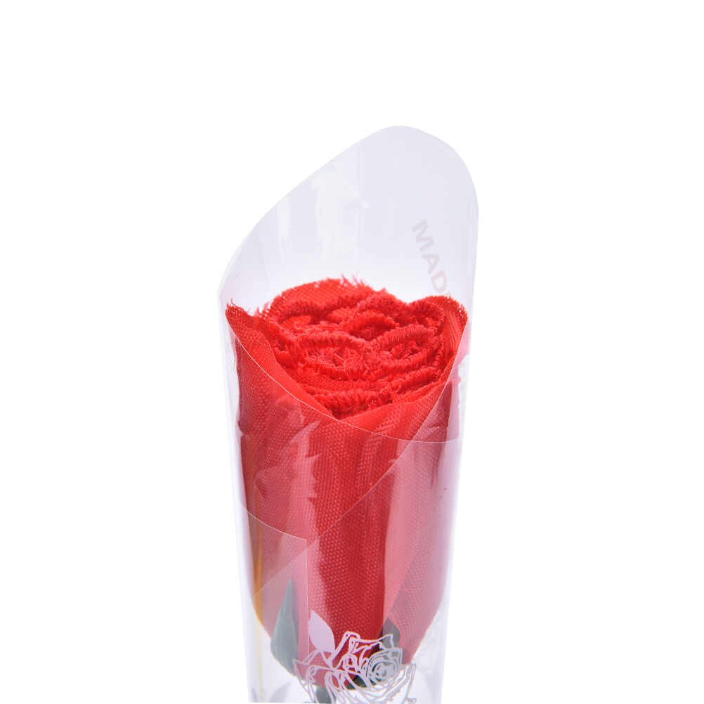 best of Valentines rose glass petal close